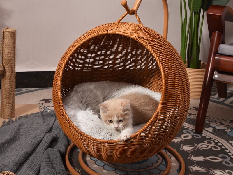 Woven Hanging Pet Bed