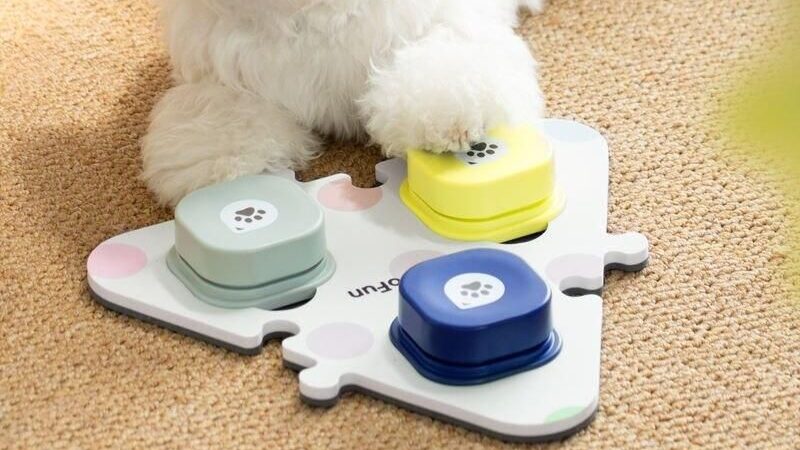 Pet Training Communication Button