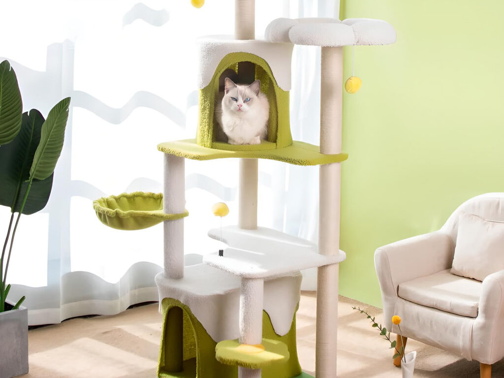 Cat Tree with Climbing Frame