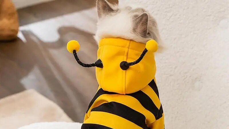 Bee Costume Hoodie for Pets