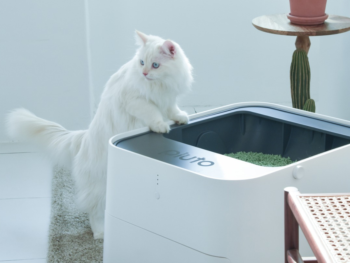 Smart Automatic Cat Litter Box with Odor Control